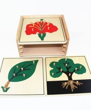 Botany Cabinet with Puzzle Leaf, Tree & Flower