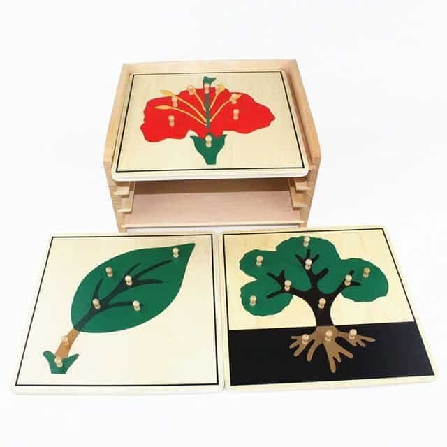 Montessori Botany Cabinet with Puzzle