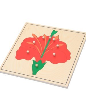 Flower - Botany Puzzle