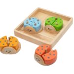 Ladybird Sorter - Sorting Activity Toddler Toy