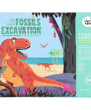 Fossils Excavation - Tyrannosaurus Rex